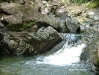 guaconejoago06 - 37